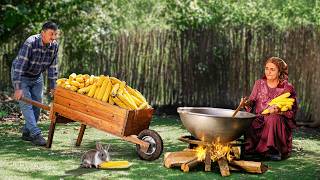 Villagers Harvesting Corn in the Field! Cooking Tandoor Popcorn and BBQ Corn on Improvised Grill