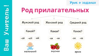 Род имен прилагательных. Как определить род прилагательного?