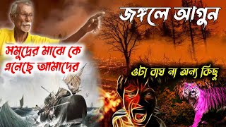 জঙ্গলে আগুন | ওটা বাঘ না, অন্য কিছু ? Sundarban Tiger | Sundarban Events