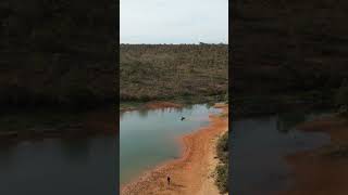 Na boca do cardume #pesca #pescaria #fishing #nature #dji