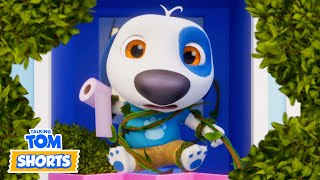 Garden Growing Potion & More 🎹🌱 Talking Tom Shorts (S3 Episode 1)