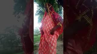 #chalelu dahariya ta#nadi biche naiyya hilor mare#ytshort#comedy viral video#2023