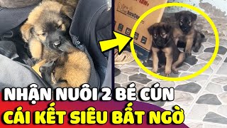 Hai chú cún 'VÔ GIA CƯ' được anh sen nhận nuôi chính thức trở thành 'HAI CHÚ BÁO CON' 😅 | Gâu Đần