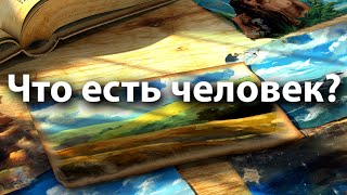 Что есть человек? - Урок 1: В начале