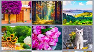 Jigsaw Puzzle Collection HD - Solve flowers!