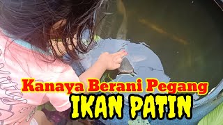 Kanaya Berani Pegang Ikan Patin | Kanaya Bilang Ikannya Baik 😁