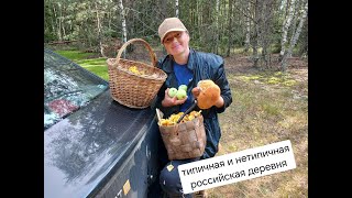 типичная и нетипичная российская деревня Щукино на Псковщине