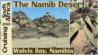 The Incredible Namib Desert | Moon Landscapes & Strange Plants | Walvis Bay, Namibia