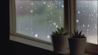 Dormir Rápidamente en Menos 5 Minutos💧Lluvia Relajante en la Ventana por la Noche con Truenos