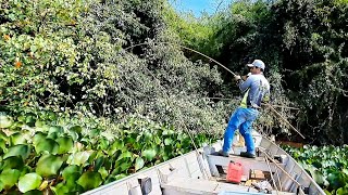 É ASSUSTADOR O TAMANHO DOS PEIXES QUE PEGAMOS NESSA PESCARIA DE TRAÍRA COM VARA DE BAMBU.