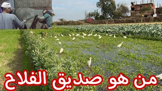 رحلة في الارض واحنا بنروي مع صديق الفلاح ومعلومات غريبهً عن صديق الفلاح وتلقيح الصناعي للمواشي