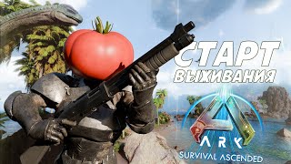 СОЛО ХАРДКОР ВЫЖИВАНИЕ после ВАЙПА в ARK Ascended