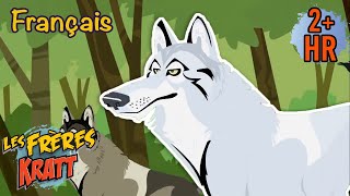 Journée internationale du loup [épisodes complets] Les Frères Kratt