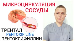 Для Сосудов I Микроциркуляция I Пентоксифиллин (Трентал)