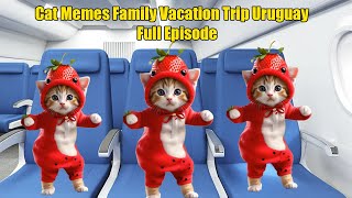 Cat Memes Family Vacation Trip Uruguay