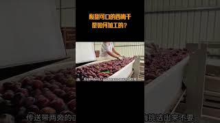 西梅干是如何制作的？#西梅干 #西梅干生产过程 #零食推荐 #西梅