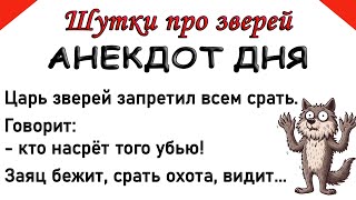 Царь зверей запретил всем срать. Смешные анекдоты про зверей. Шутки