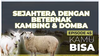 KAMU BISA  "Sejahtera dengan Beternak Kambing & Domba" - Episode 46