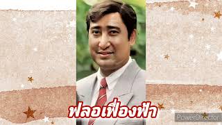 MP3 สายัณห์ สัญญา - ฟลอเฟื่องฟ้า