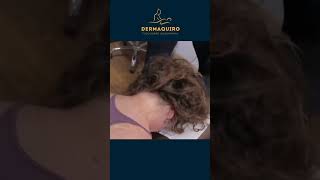 ASMR Massage video #quiropraxia #quiromasajista #chiropractic #escoliosis #ystrap