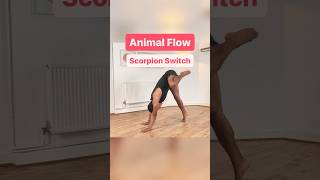 Animal Flow - Scorpion Switch 🦂 #primalmovement #bodyweightworkout #animalflow