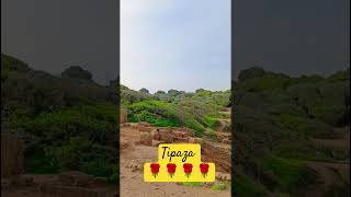 Site Archéologique de Tipaza 🇩🇿🌹🌹🌹🌹🌹🌹🌹