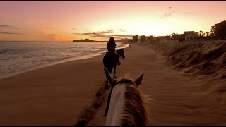 Sunset Horseback Ride in Cabo San Lucas VR