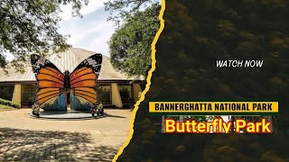 🦋 Butterfly Park 🦋 -4K BANNERGHATTA BIOLOGICAL Park Bengaluru