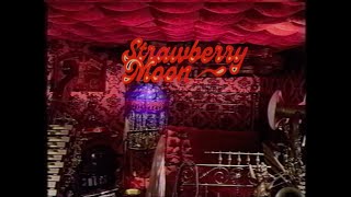 Sleepy Gaucho - Strawberry Moon (Music Video)