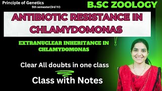 Antibiotic resistance in Chlamydomonas B. Sc 3rd Year||Extranuclear Inheritance in Chlamydomonas.