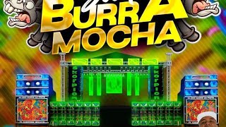 Previa skorpion solista - baile la burra mocha