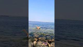 Shindu Beach Sanur #viralvideo #bali #pantaisanur