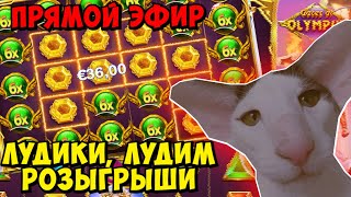 СТРИМ🍀ОНЛАЙН 🎰КАЗИНО🎰ДЕП 10К ОНЛАЙН КАЗИНО СТРИМ #казино #shorts #шортс #онлайнказино #заносынедели