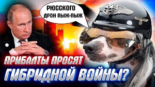 ПРИБАЛТЫ ОКОНЧАТЕЛЬНО РАСПОЯСАЛИСЬ! может пора предъявить счет?