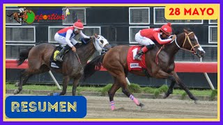 ✅RESUMEN 📽 martes 28 MAYO 2024, carreras caballos🏇 en el V Centenario💰