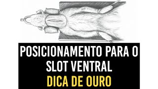 Dica de ouro para o posicionamento no slot ventral!