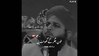 Peer Ajmal Raza Qadri #1millionviews #poetry #malikwrites #humayunmalik