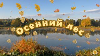 Осенний лес /Музыка Сергея Чекалина/