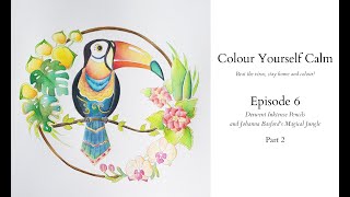 Colour Yourself Calm Episode 6 Part 2