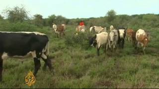 Al Jazeera : Kenyan Farmers Fighting over Scarce Land