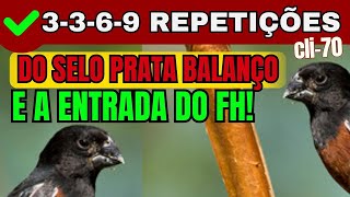 Curió-  SELO PRATA com BALANÇO