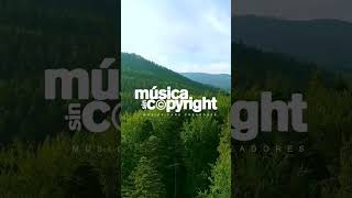 🌲MÚSICA RELAJANTE SIN COPYRIGHT 🎧