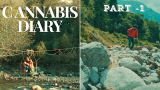 Cannabis Diary|Ann Druyan|Suraj Kumar| PART 1🎬