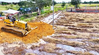 Big Project !! Bulldozer Komatsu D31P, Transaction Filling up land huge, Dump Truck Unloading