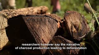 Climate concerns vs charcoal production: perhaps a matter of  narrative