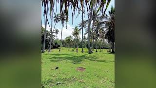 Dijual tanah LOS PANTAI dan sungai Bali Indonesia Denpasar Gilimanuk