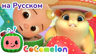 Поиск хомяка - Новая Серия💫 | CoComelon на русском — Детские песенки