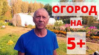 Огород на 5 баллов! Вырастили арбузы, дыни, виноград на севере!