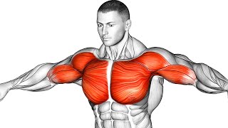 The Best Chest Workout Guide To Build A Massive Pec