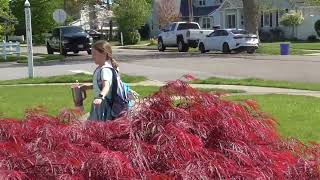 My girl getting off the bus, running to see me !